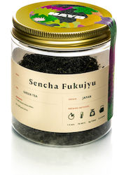 Green Tea Hayb Sencha Fukujyu Premium 35g