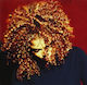 Janet Jackson Velvet Rope Cd