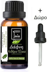 Gaia Products Βιολογικό Αιθέριο Έλαιο Δάφνη με Σταγονόμετρο 10ml Gaia Products Βιολογικό Αιθέριο Έλαιο Δάφνη με Σταγονόμετρο 10ml
