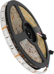 LED-Streifen 12V RGB LED-Streifen 12V RGB