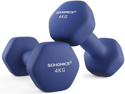 Songmics Βαράκι 1 x 4kg
