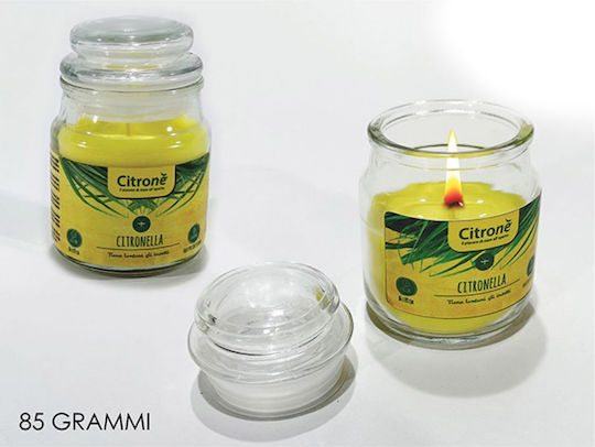 General Trade Insect Repellent Candle for Mosquitoes 85gr 2 Pieces