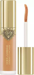 Langanhaltender Dolce&gabbana Makelloser Abdeckstift Farbkorrektor Schatten 23 Mittlerer Pfirsich Untertöne Volumen Ml 11