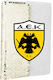 Caiet A5/60 Pagini Paiete Aurii Aek