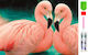 Mosaic Diamante Pictură cu Diamante Zola Design Flamingo Pentru Iubitori 20 X 30 Cm