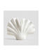 Homla Decorative Ceramic Vase Modern Hamptons White 16x11xH20cm