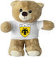 Jucărie de Plus Ursuleț 25cm Aek