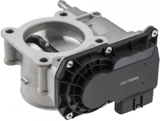 Throttle Body Suzuki Grand Vitara II 2005-0 2.4L SUV