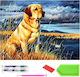 Xxl Mozaic Diamant Gobelin Zola Design Rațe Labrador 120 X 60 Cm