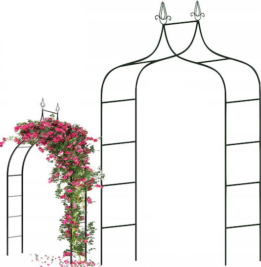 Arc Metalic Dublu Pentru Grădină Oțel Flori Cățărare 150 X 38,5 X 262 Cm Negru