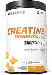 Skill Nutrition Mikronisiertes Kreatin Monohydrat Mit Geschmack 500g Orange Skill Nutrition Mikronisiertes Kreatin Monohydrat Mit Geschmack 500g Orange