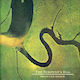 Dead Can Dance Serpent's Egg Digi 1 Cd