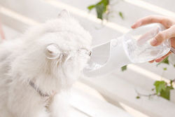 Ideaplus Pet Automatic Plastic Food Bottle