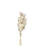 Getrockneter Blumenstrauß Bunny's 25 Zweige Beige 60cm Homie 423128