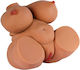 Hidden Desire Großer Fetter Banger Babe Masturbator Hintern / Vagina