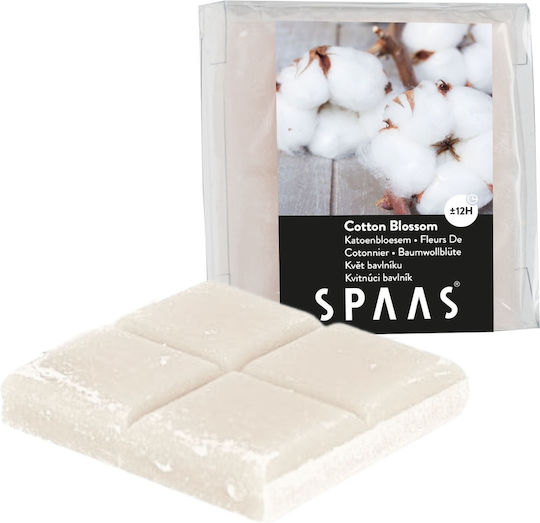 Spaas Raumdüfte Wachsschmelze 31gr