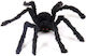 Halloween Fuzzy Spider Decoration 50 X 50 Cm Black