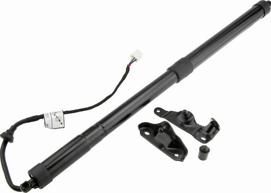 Bonnet Motor Rear Toyota Highlander Kluger 2013-0 2.7l SUV Toyota Highlander Kluger 2013-0 3.5l SUV