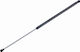 Gas Bonnet Shock Absorber Engine Alpina Roadster S 2003-2005 3.3l Convertible Bmw Z4 Coupe 2006-2009 3.2l Coupe Bmw Z4 Coupe 2006-2009 3.0l Coupe
