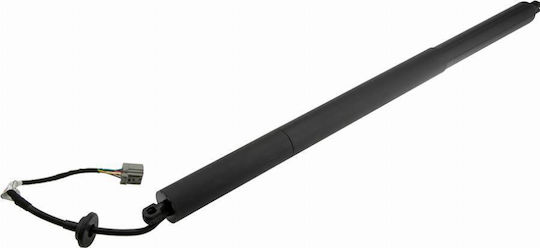Gas Shock Luggage Compartment Jeep Grand Cherokee IV 2010-0 6.4l SUV Jeep Grand Cherokee IV 2010-0 3.0l SUV Jeep Grand Cherokee IV 2010-0 5.7l SUV