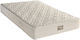 Orion Strom Anatomic Crib Mattress En61 Best Foam Baby 70cmx160cmx12cm