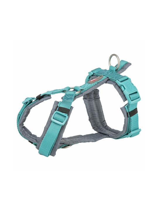 Premium Trekking Harness Dog Aqua Graphite S–m 44–53 Cm/20 Mm