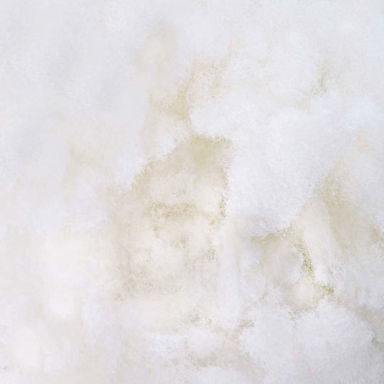 Vidaxl White Polyester Fiber Filling 1 Kilo
