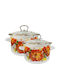 Raki Stainless Steel Pots Set with Enamel Coating 2pcs