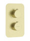 Deante Built-In Mixer And Mouthpiece Set For Shower Gold