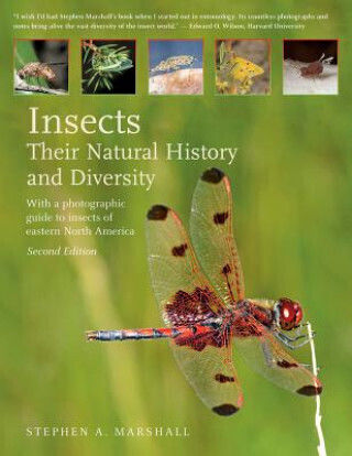 Insects: Their Natural History And Diversity