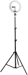NetOne GS-75801 Ring Light NetOne GS-75801 Ring Light