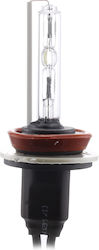 Set 1 Xenon Bulb H9-6k Carguard Set 1 Xenon Bulb H9-6k Carguard