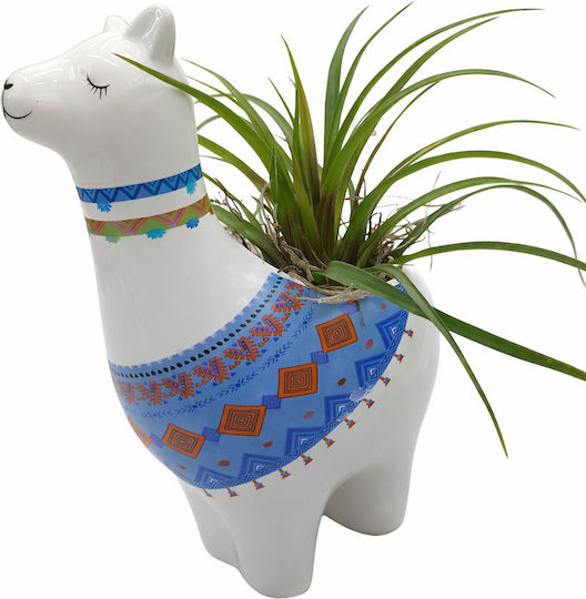 Lama Ceramică Plantă Tillandsia Y20cm13cm10 02754 Milvaflowers