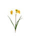 Decorative Artificial Yellow Polyester Daffodil Flower H40cm Kaemingk 800150-2 00046231