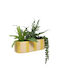 Τεχνητό Φυτό Γλάστρα 31x22x24 A-s Poolside 214039 Yellow Κεραμικό