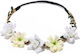 Ecarla Wreath Headband W78b