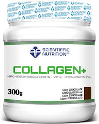 Scientiffic Nutrition 300gr Schokolade