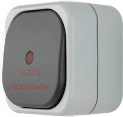 Buton Germanic Lumină De Urgență IP44