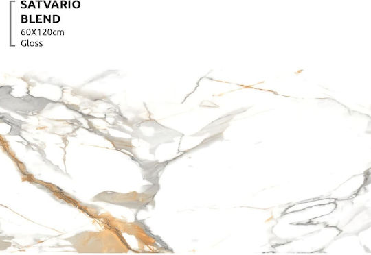 LV Granito Floor Tile Interior Porcelain Glossy 120x60cm Blend