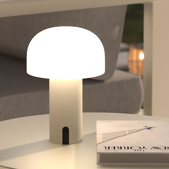 Jany LED Decorative Table Lamp Jany LED Decorative Table Lamp