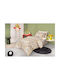 Guy Laroche Set Kids Sheets Cotton Band Natural 165x250cm 3 Pieces
