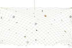 Kaemingk Garden Decorative Shell 100x100cm 858592