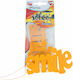 Soleo Wanted Car Scent Felt Hanging Sensual Woody Aroma 30
