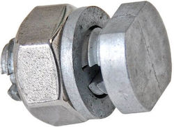 CNV-M12