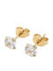 Poco Loco Titanium Gold Plated Stud Earrings with Stones