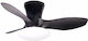 Spot Light Ceiling Fan 80cm with Light Black