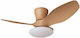 Spot Light Deckenventilator 80cm mit Leuchte Br...