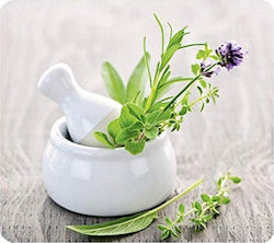 Wenko Γυάλινη Προστασία Εστίας Herb Garden 56 X 50 Cm Πολύχρωμη