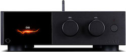 Audiolab D9 Schreibtisch Digitaler Kopfhörerverstärker