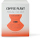 Coffee Plant Καφές Espresso σε Κόκκους σε Κουτί 10x11gr